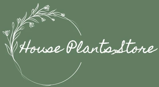 House Plants Store