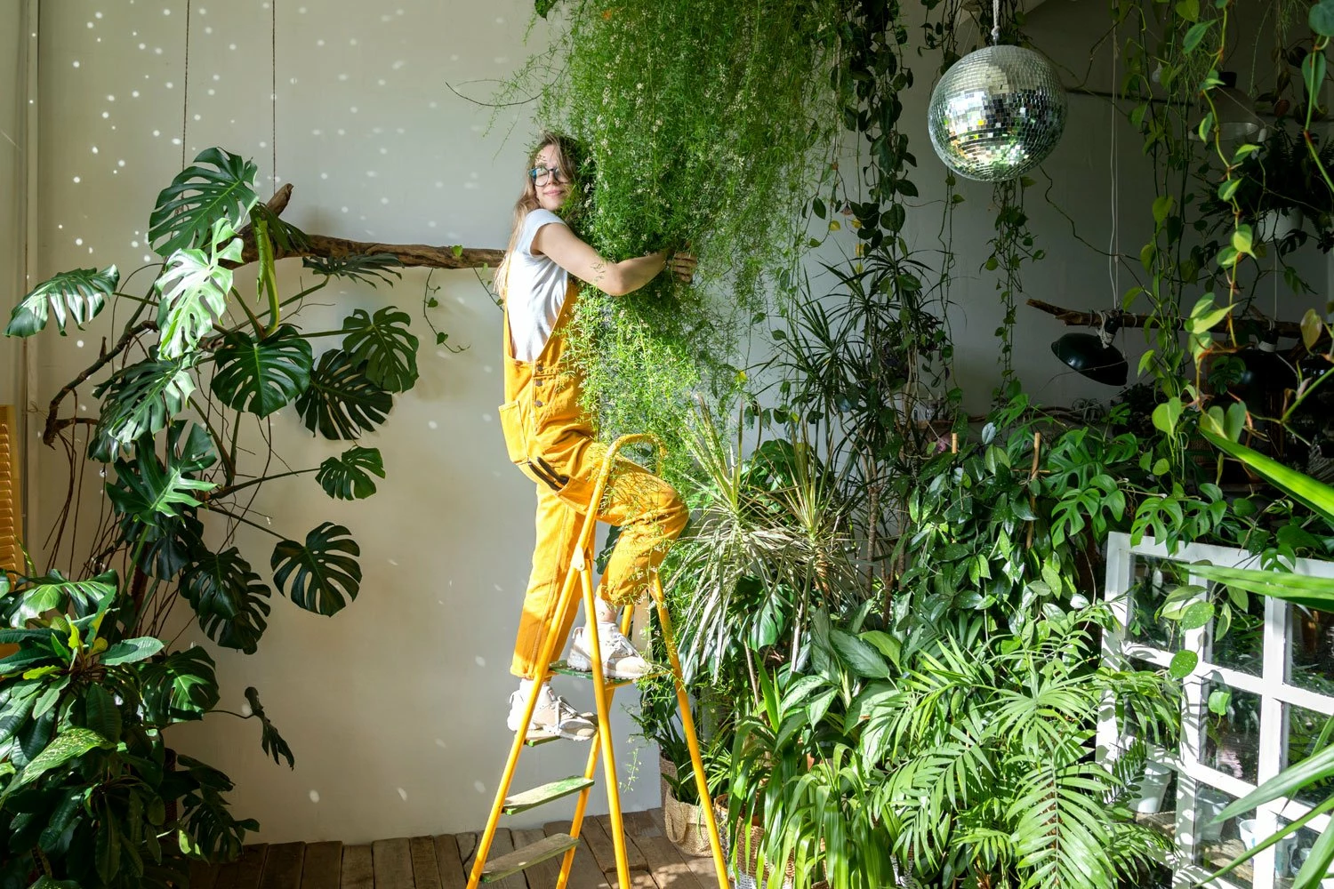 House Plants Store -House Plants Store Woman hugging her houseplants